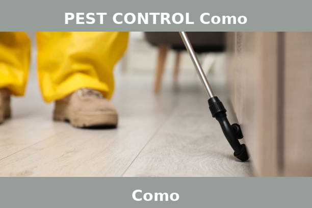 PEST CONTROL Como